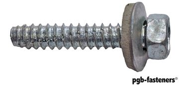 PGB 100St.Zesk. Gevelschroef Type Bz Stomp