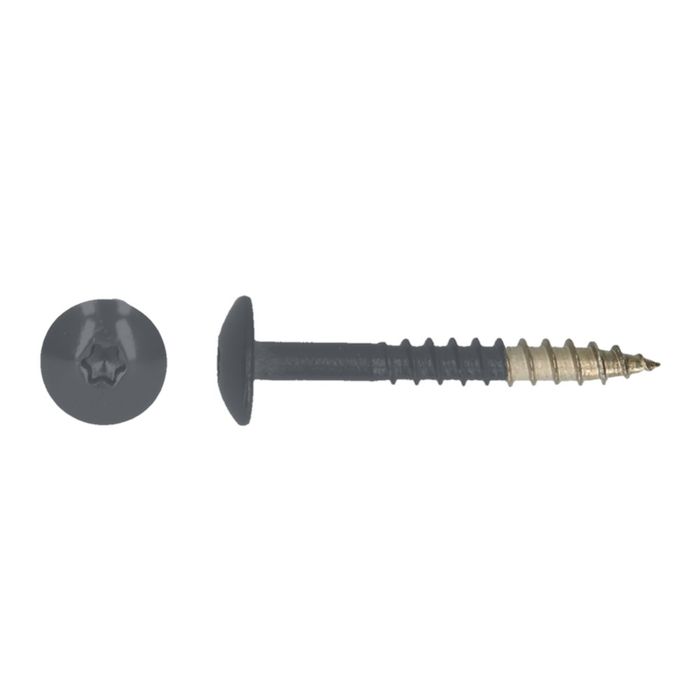 PGB-FASTENERS 100st. HPL schroef Tx20 4,8x38