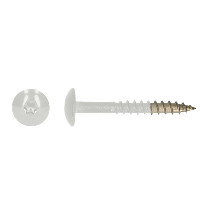 PGB-FASTENERS 100 Platbolkopschrf Trespa * 4,8X