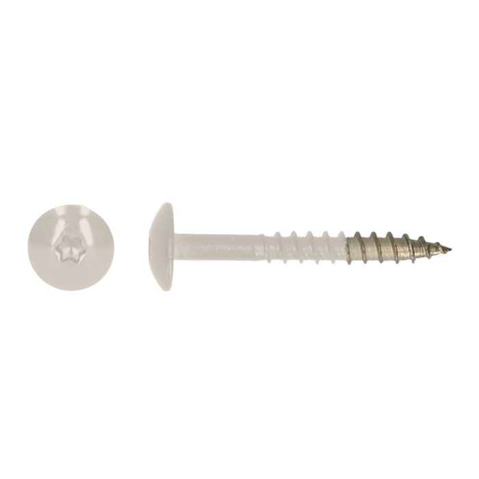 PGB-FASTENERS 100 Platbolkopschrf Trespa * 4,8X PGB-FASTENERS 100 Platbolkopschrf Trespa * 4,8X