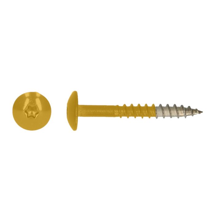 PGB-FASTENERS 100 Platbolkopschrf Trespa * 4,8X PGB-FASTENERS 100 Platbolkopschrf Trespa * 4,8X