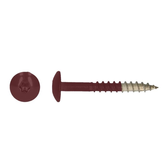 PGB-FASTENERS 100 Platbolkopschrf Trespa * 4,8X