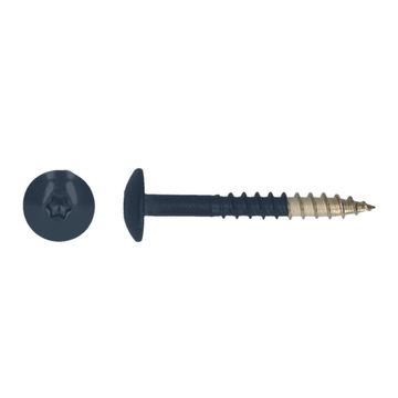 PGB-FASTENERS 100 Platbolkopschrf Trespa * 4,8X