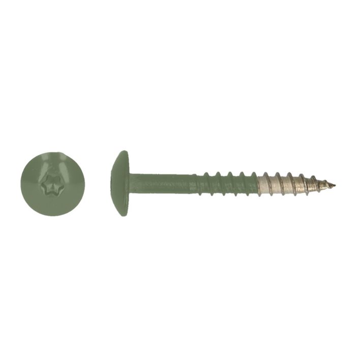 PGB-FASTENERS 100 Platbolkopschrf Trespa * 4,8X