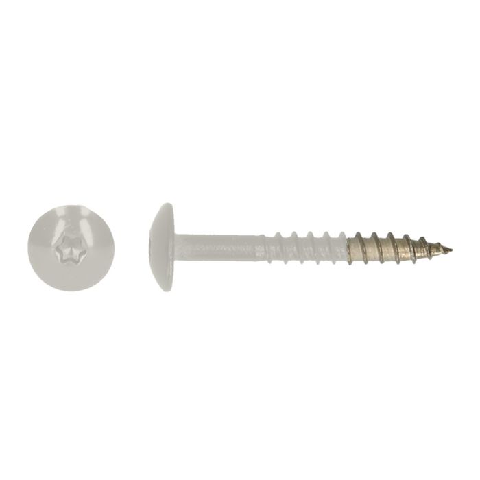 PGB-FASTENERS 100 Platbolkopschrf Trespa * 4,8X