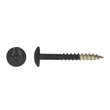 PGB-FASTENERS 100 Platbolkopschrf Trespa * 4,8X