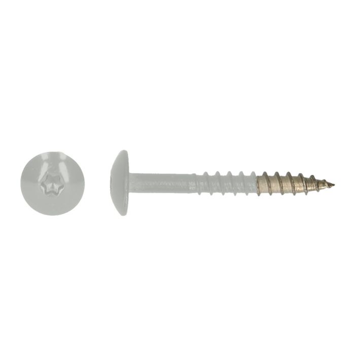 PGB-FASTENERS 100 Platbolkopschrf Trespa * 4,8X PGB-FASTENERS 100 Platbolkopschrf Trespa * 4,8X