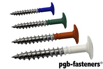 PGB 100St.Platbolkopschroeven Voor