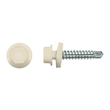PGB-FASTENERS 100 Kleurkopschroef Wit Ral1013 * 4,8X