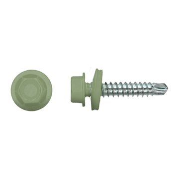 PGB-FASTENERS 100 Kleurkopschroef Groen Ral6021 *