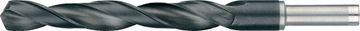 International Tools 1 St. Hss Spir.Boren Met 10 Mm Kolf,