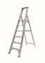 Solide Trapladder Industrieel  6 Treden  Pt