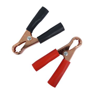 Carpoint Testclip 50 Amp 2 Stuks      2