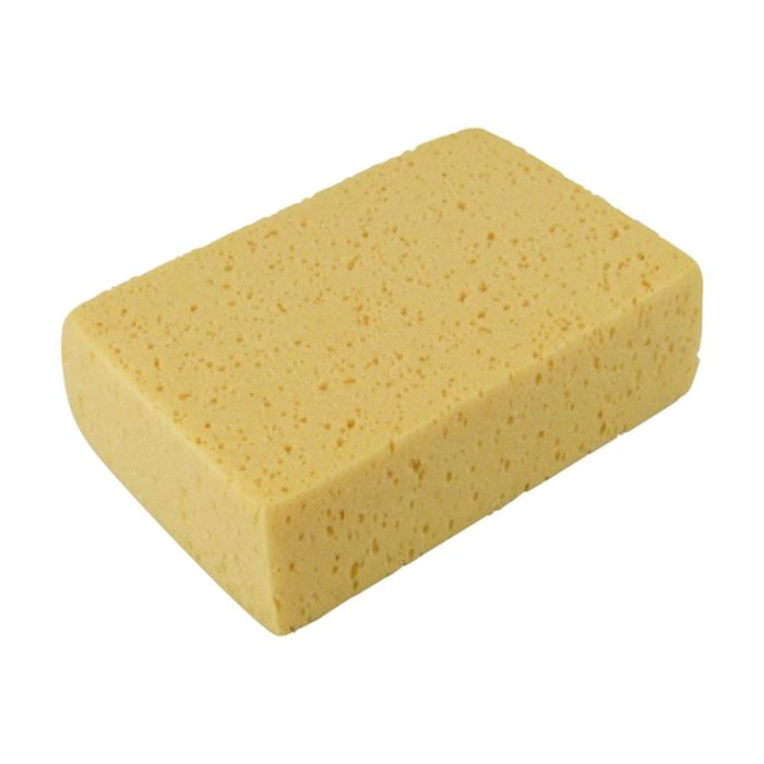 Protecton Protecton Auto Spons Protecton Protecton Auto Spons