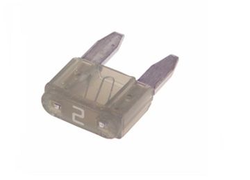 Wedi Trade Wt Steekzekering Mini/Tr.  25 Amp.